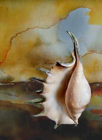 SHELL 2